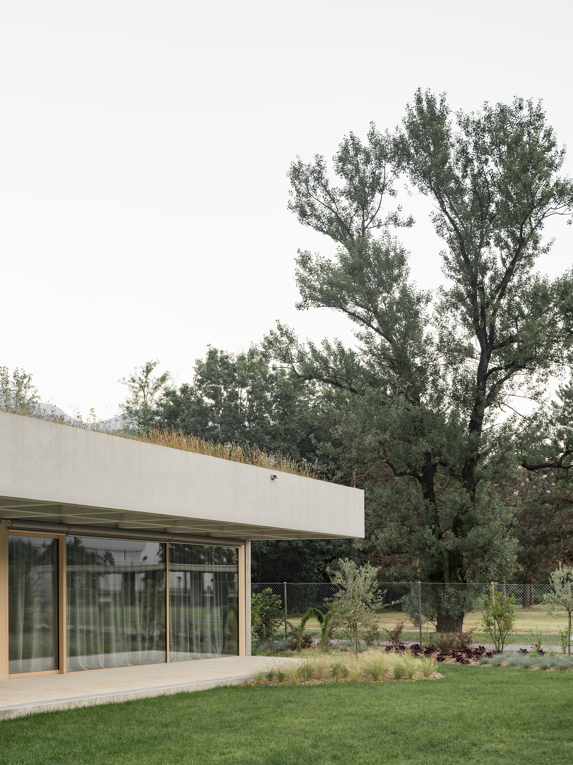 洛迦诺幼儿园丨瑞士丨cappelletti sestito architetti-15