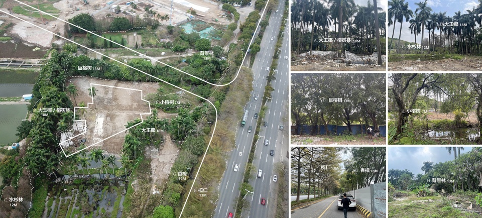 顺德云鹭湿地展厅景观设计丨中国佛山-32