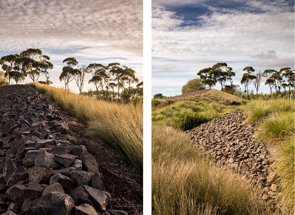 奥克兰国际机场景观设计丨新西兰丨SurfaceDesign,Inc.-31