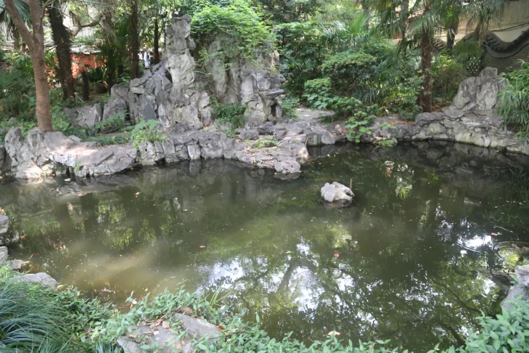 百年名园重生：静安宾馆历史花园保护性改造-49