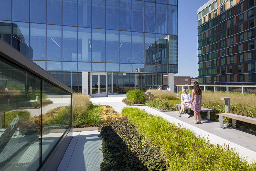 波士顿海港广场绿色屋顶花园丨美国波士顿丨Copley Wolff 设计集团-5