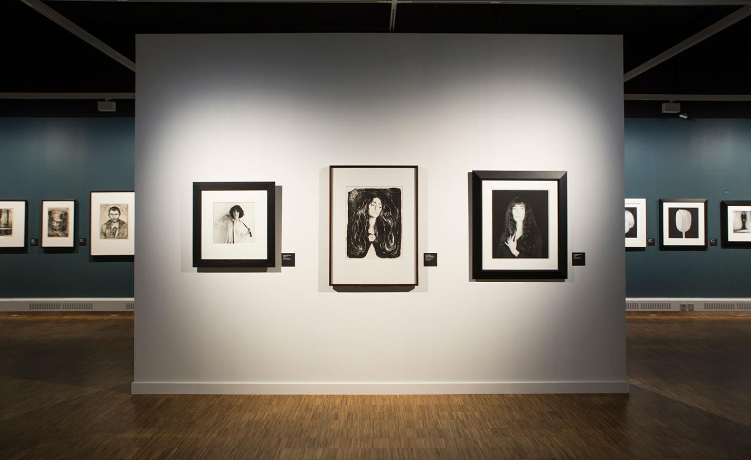 Mapplethorpe Munch 展览-20