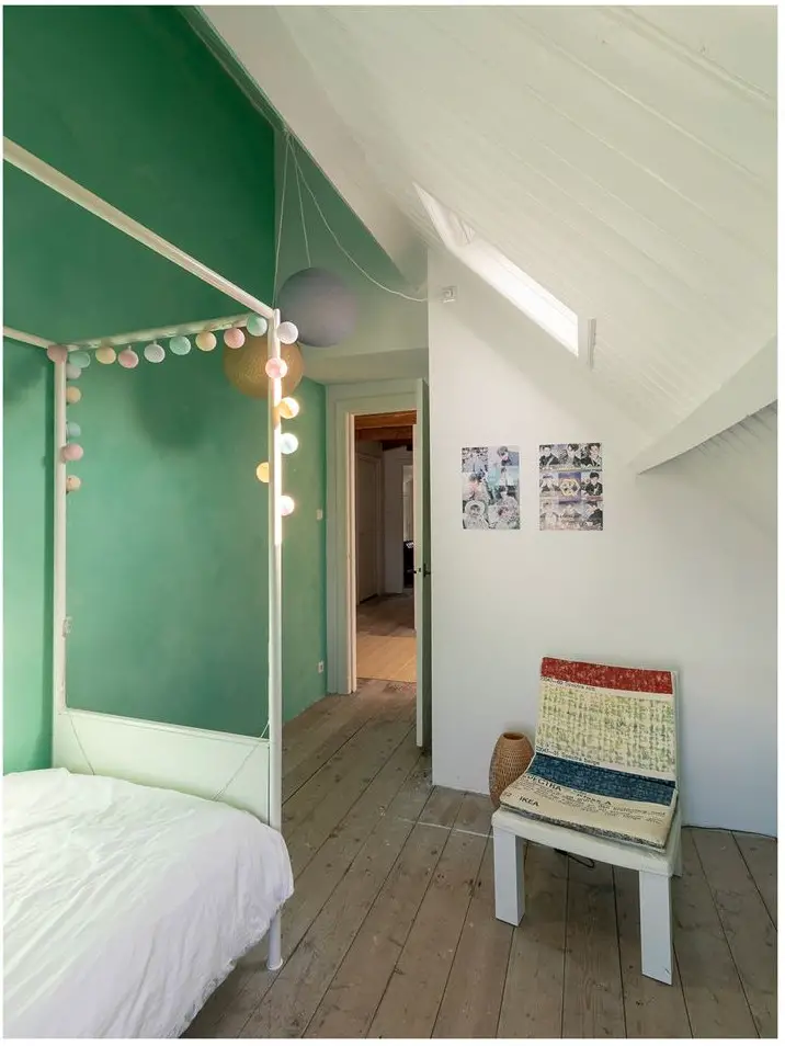 荷兰 Haarlem 百年老宅的时尚民族风设计-17