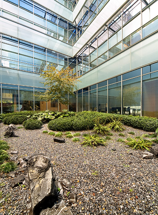 Madrid 办公大楼庭院花园 · 有机自然主义的设计实践-32
