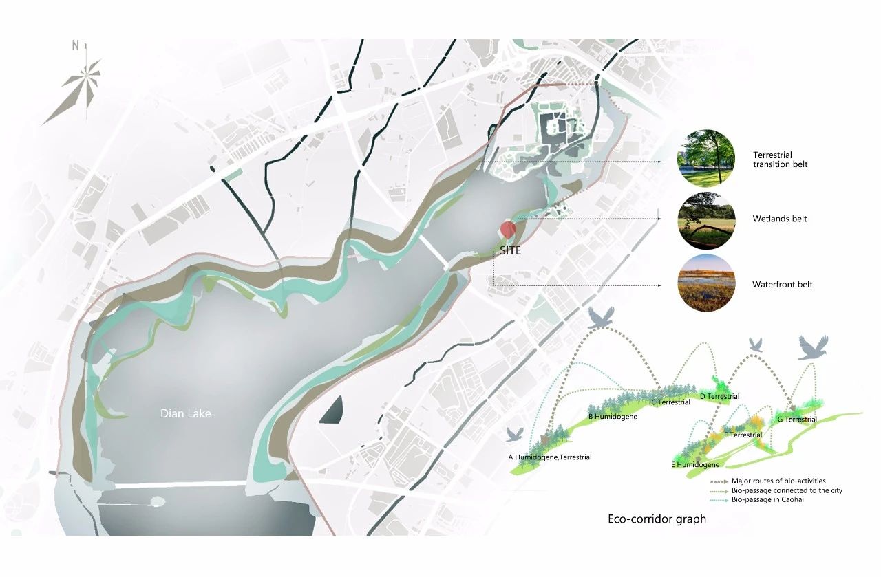  圆点设计丨昆明云海一号•湿地展示公园 景观设计 丨中国云南-53