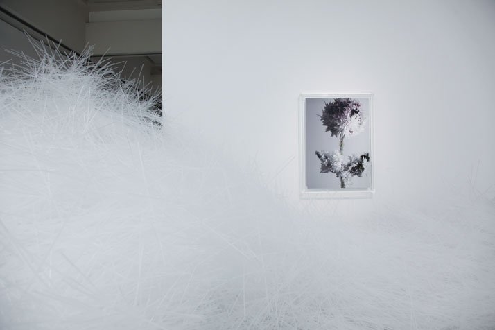 梦幻晶体 | Tokujin Yoshioka 东京个展-11