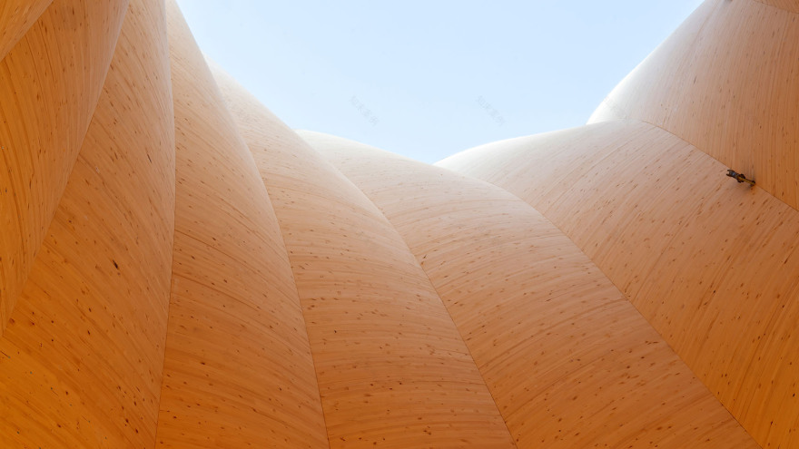 Wangen塔丨德国-107