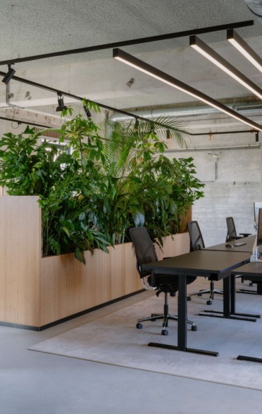 丨NetherlandsNijmegen-34