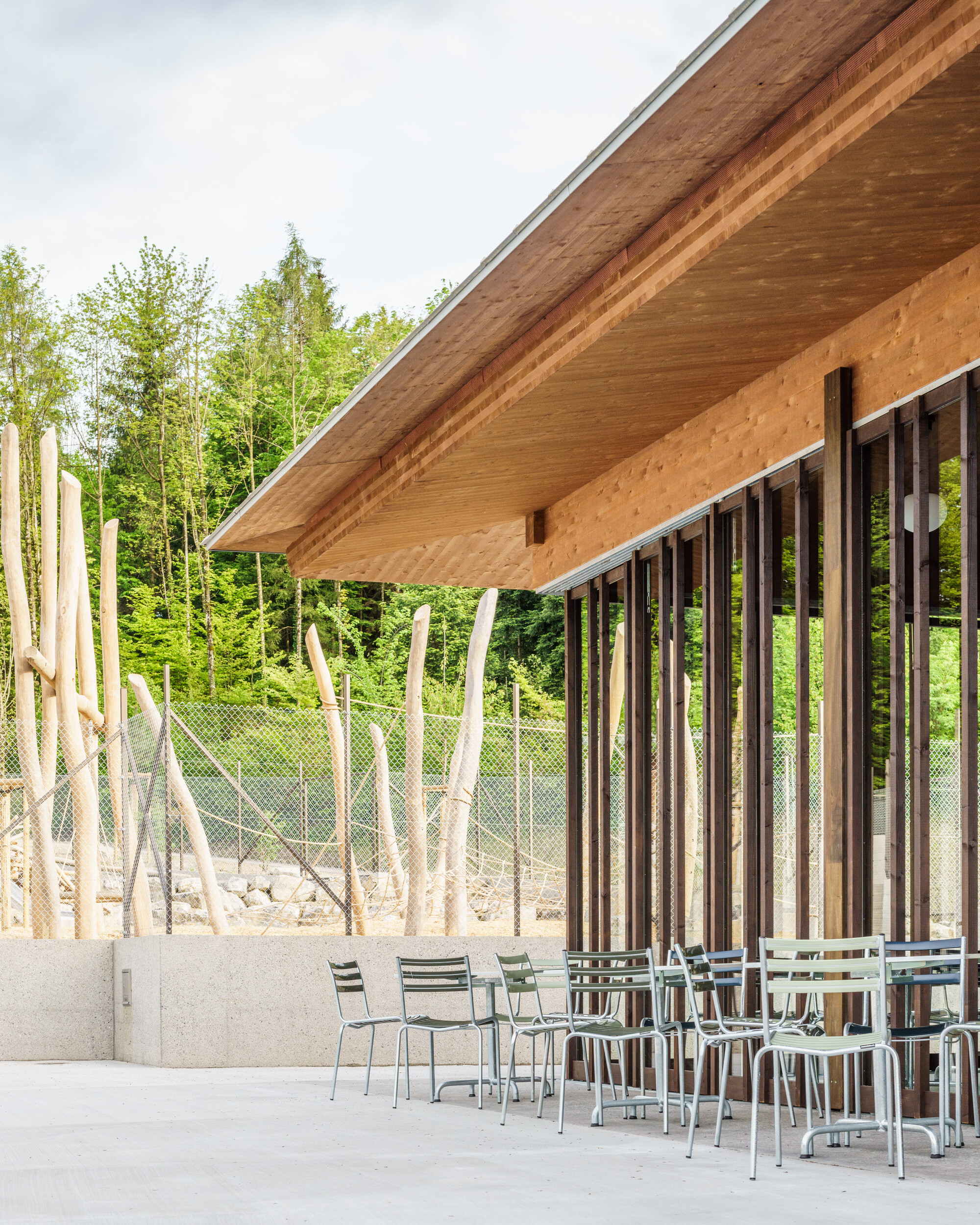 森林泳池齐默格格丨瑞士卢塞恩丨Brechbuehler Walser Architekten-36