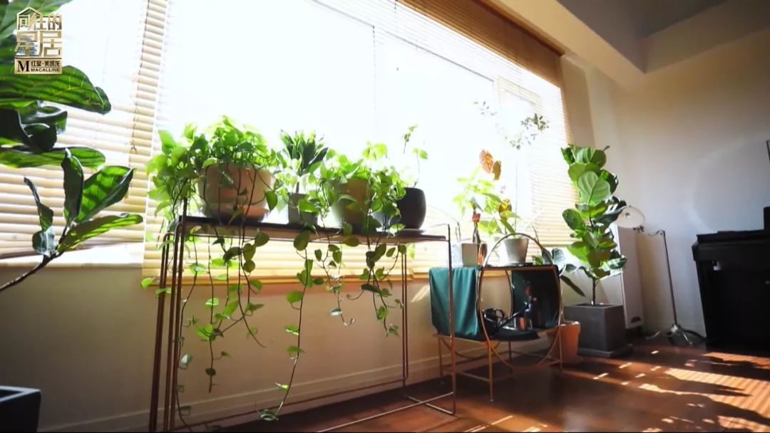 《向往的星居》13 扇门打造 360°交互空间,巧妙满足家庭多元需求-9