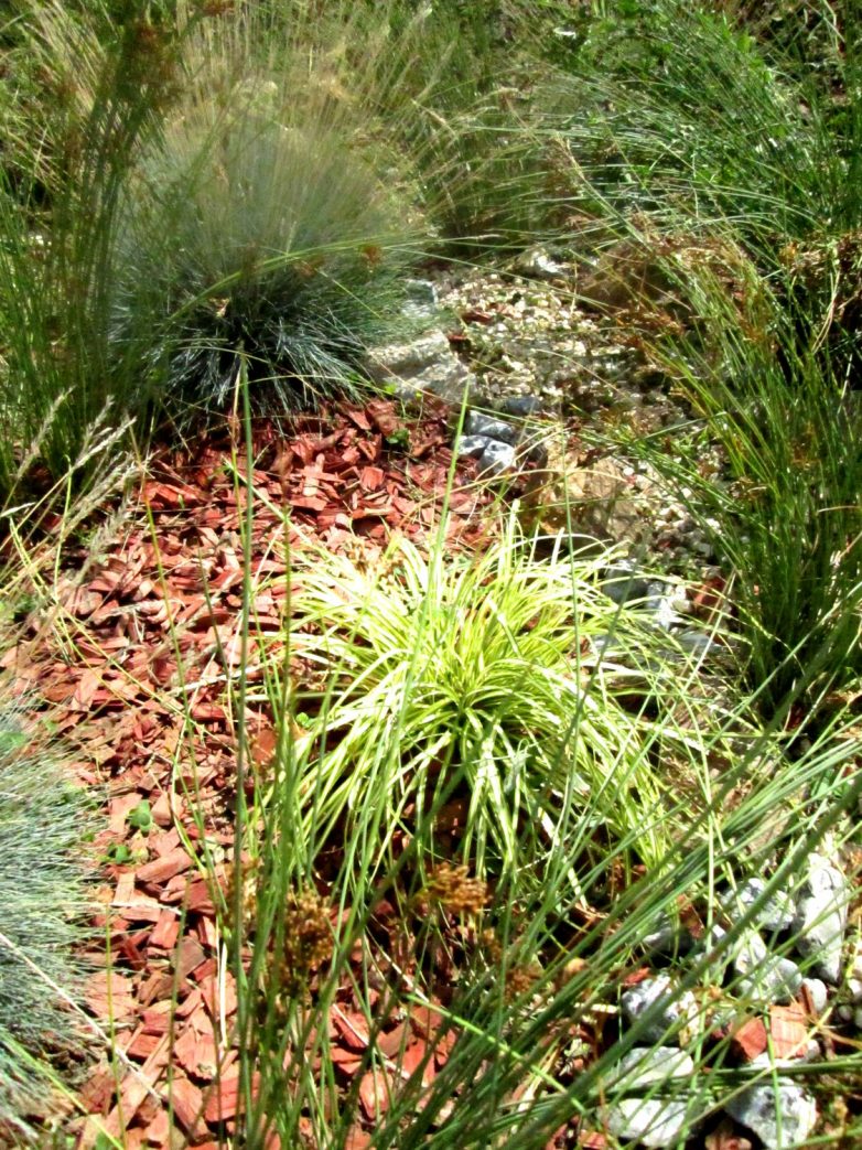Kaću雨水花园项目丨诺维萨德丨Amela Greksa（景观建筑学硕士工程师）-27