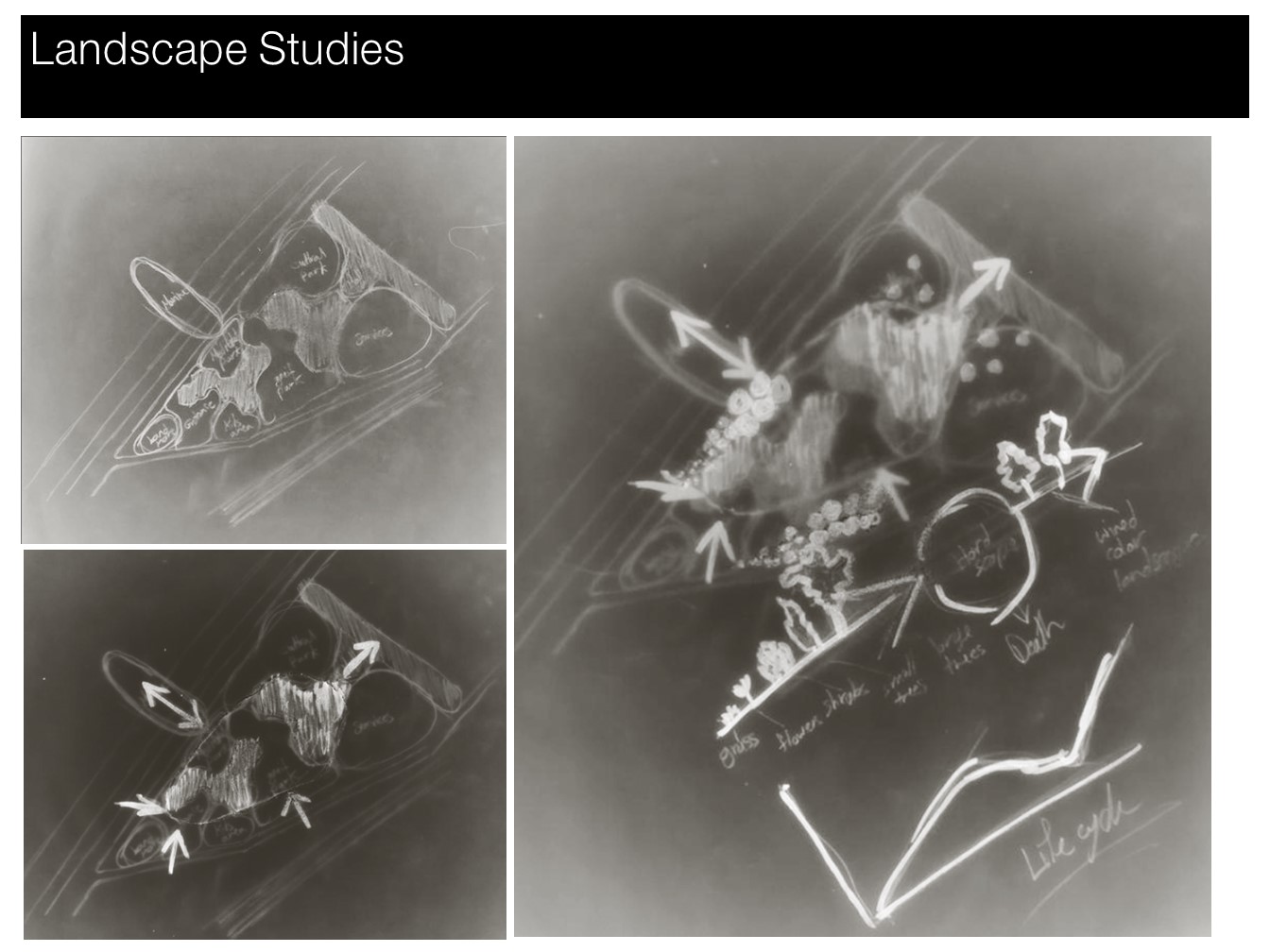 Labyrinth Storytelling Cultural Centre in Luxor-21