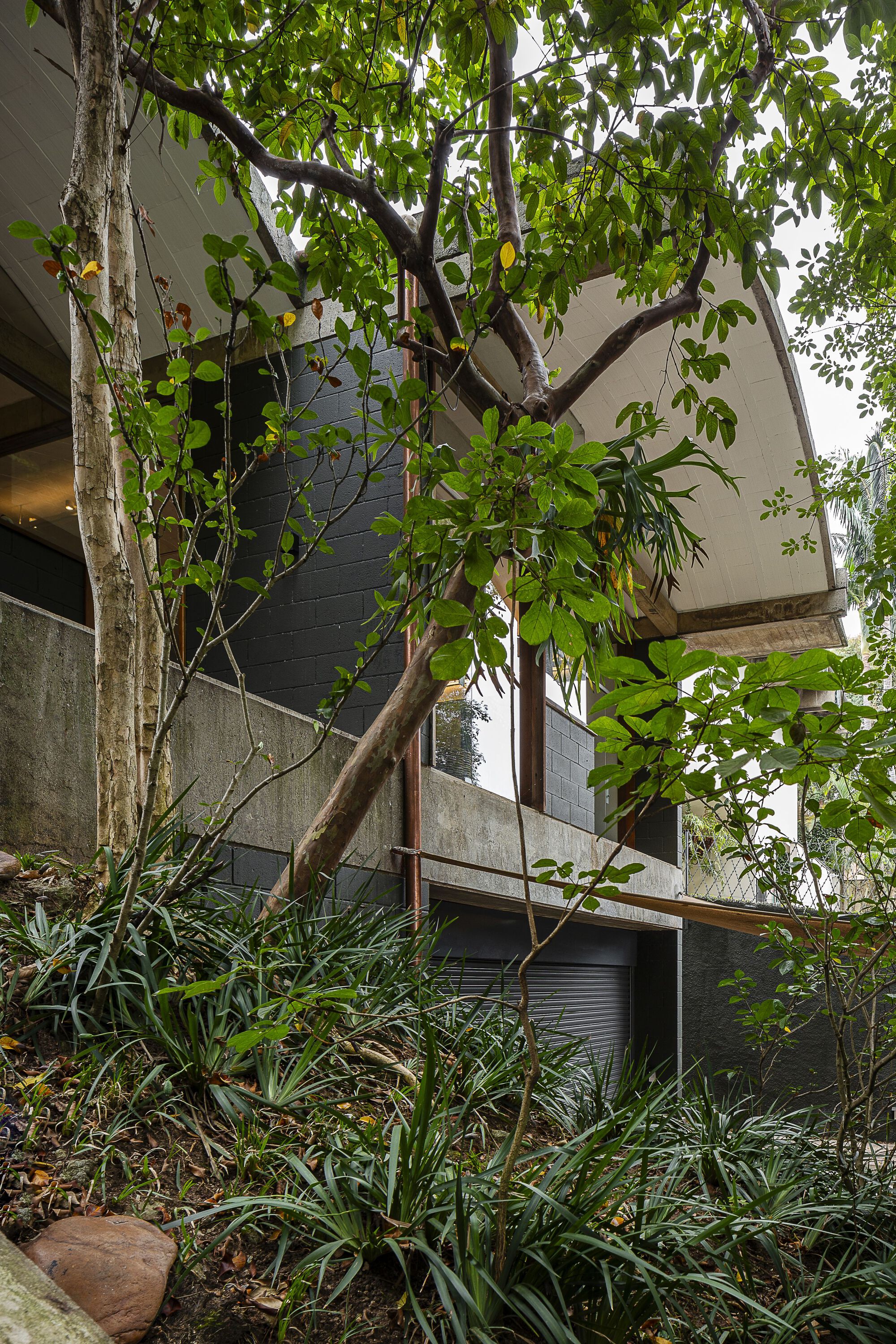 丨巴西圣保罗丨ARKITITO Arquitetura-37