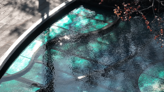 上海华发建发·缦云（示范区）丨中国上海丨深圳市派澜景观规划设计有限公司-21