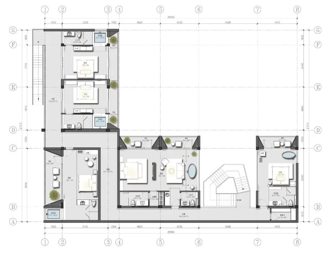 莫干山秘境杉林,尽享自然之美-121