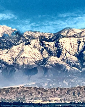California Feb 8-22/2021