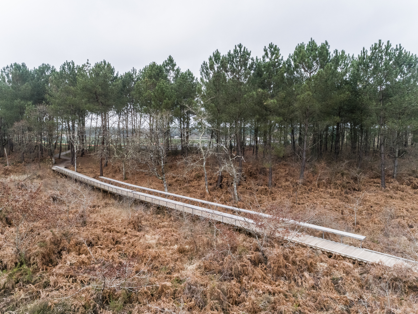 法国圣保罗勒达克体育广场·绿色景观中的多功能运动空间-39
