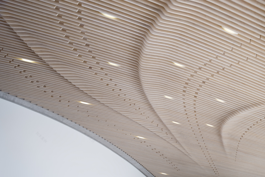 维拉·伊普西龙-24