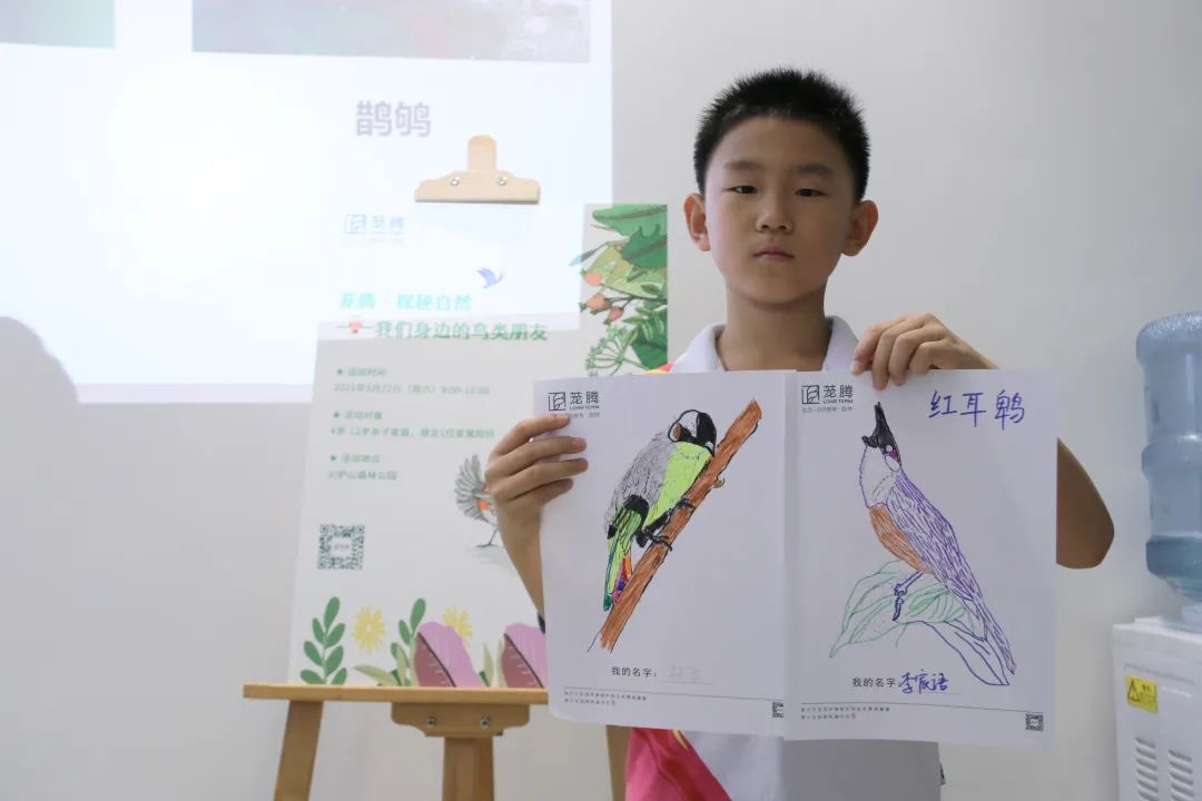 茏腾·探秘自然·鸟类涂鸦之旅-30