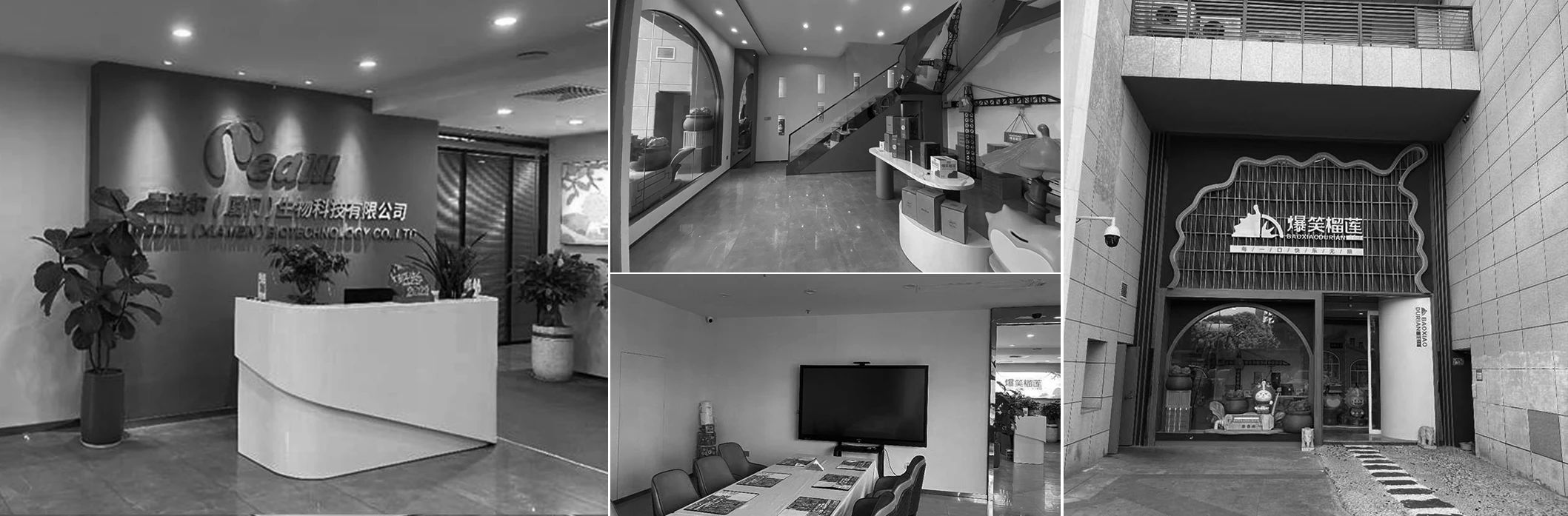 榴莲展厅丨中国厦门丨共界设计事务所-8