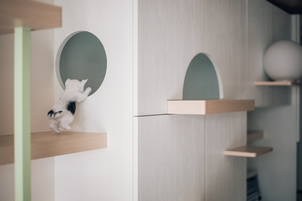 一亩绿设计 | 猫咪的天空之城-4