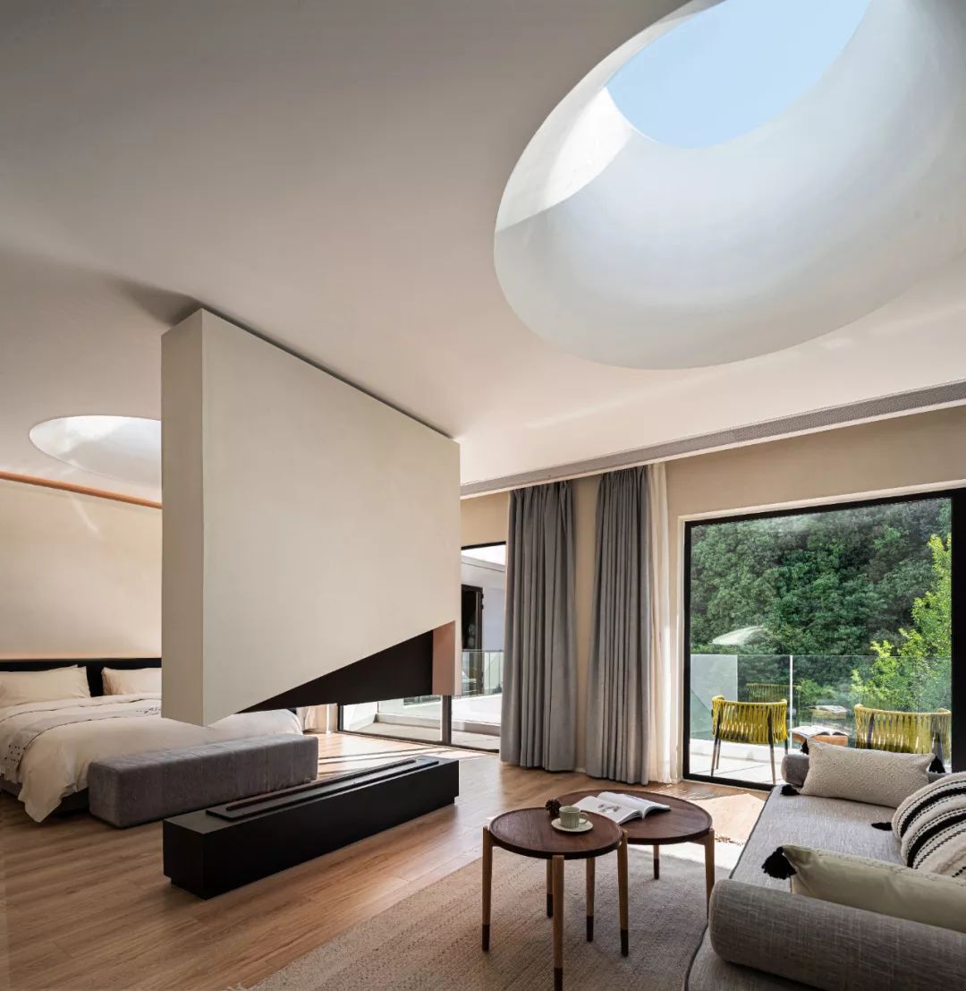 莫干山秘境杉林,尽享自然之美-81