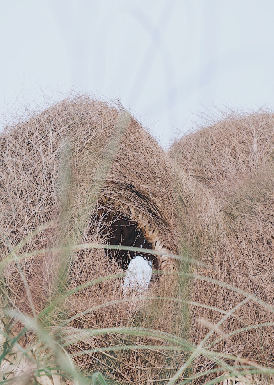 秘境花园 | 树洞中的心灵秘境-26