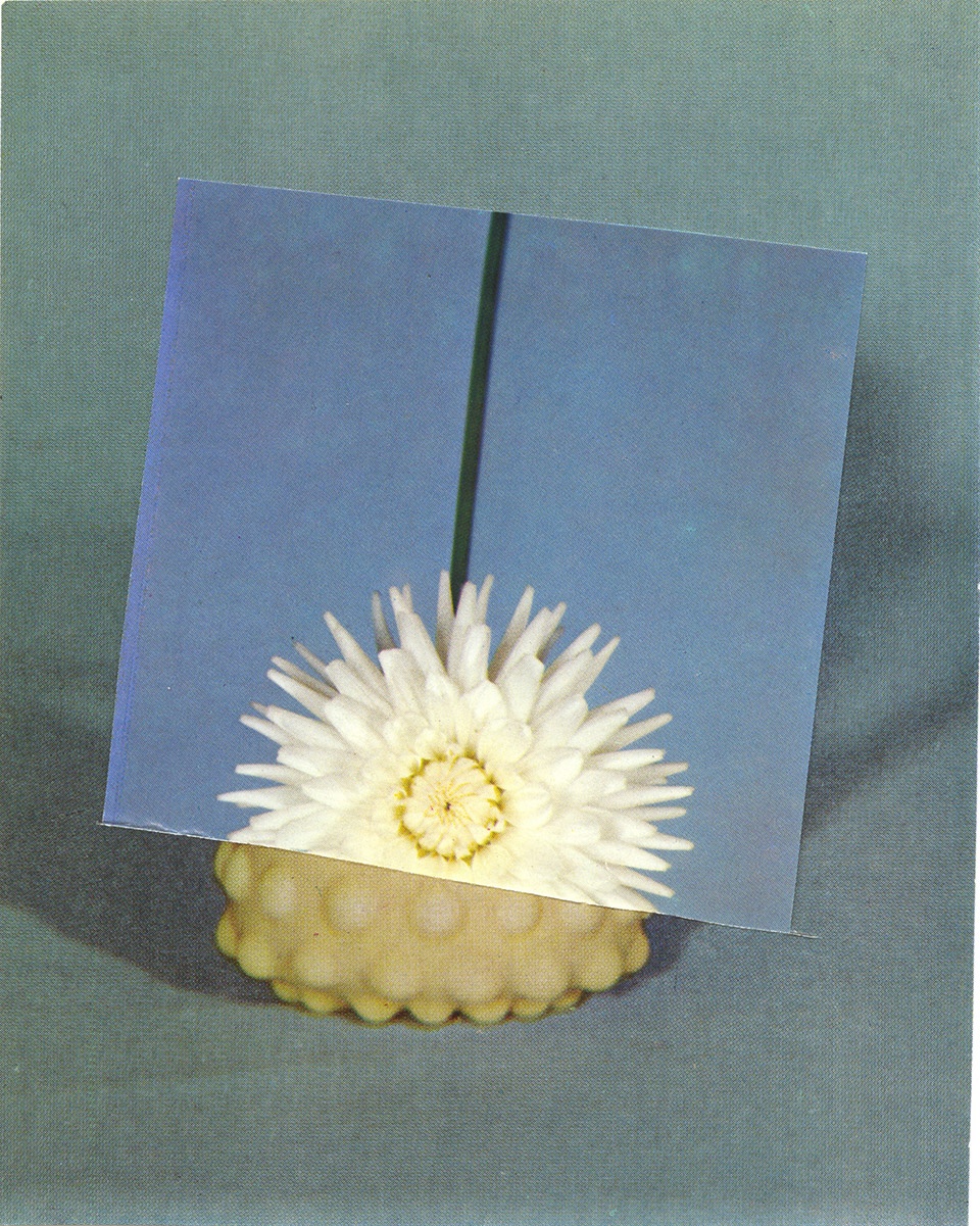 彩绘未知的女性思维 | ALYSI 展室设计解读-32