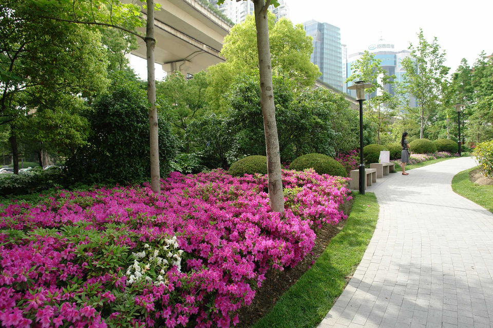 延安中路公园 · WAA+丨中国上海丨WAA+,上海园林设计院-20