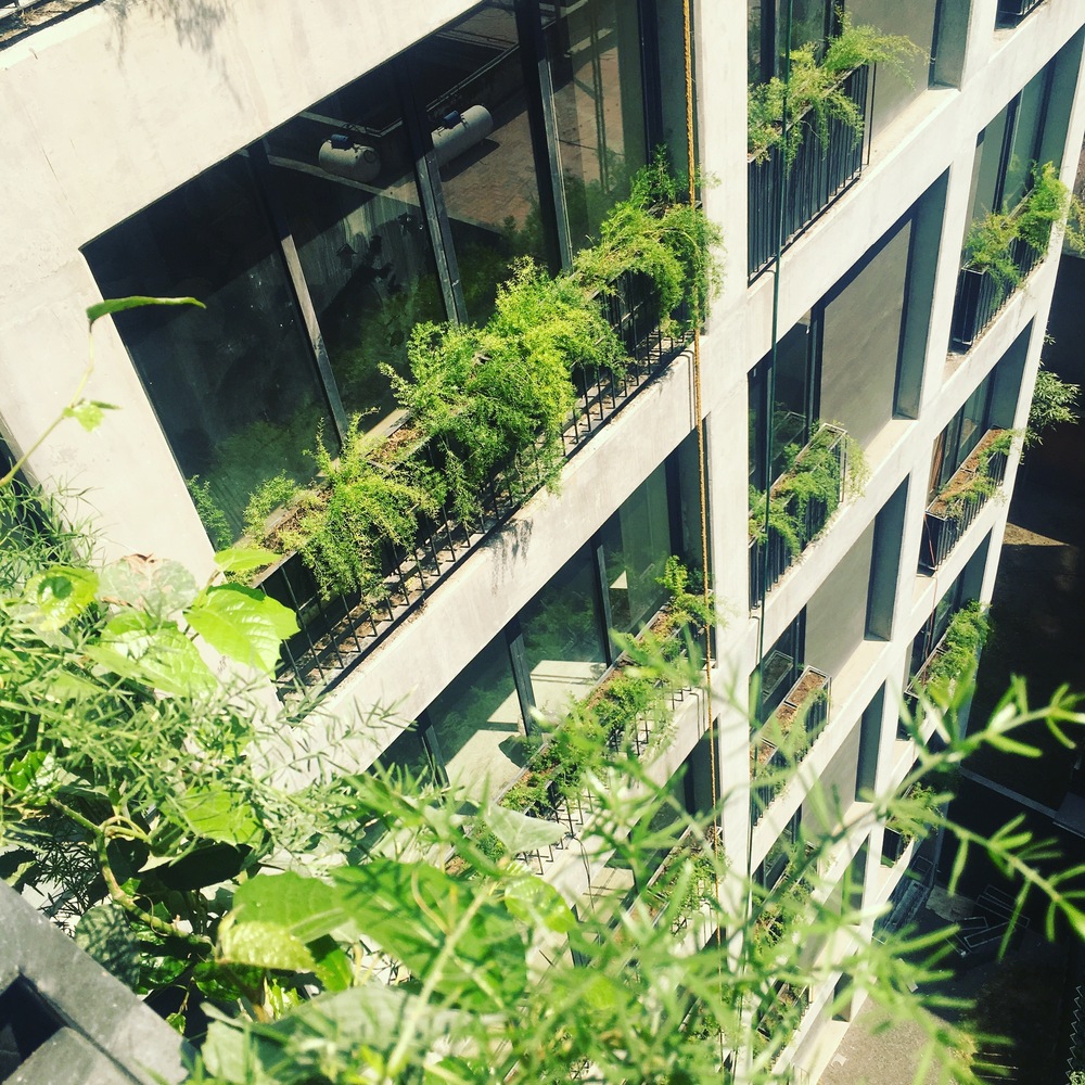 墨西哥城 BP 塔 · 开放,绿色,共享的生活空间-43