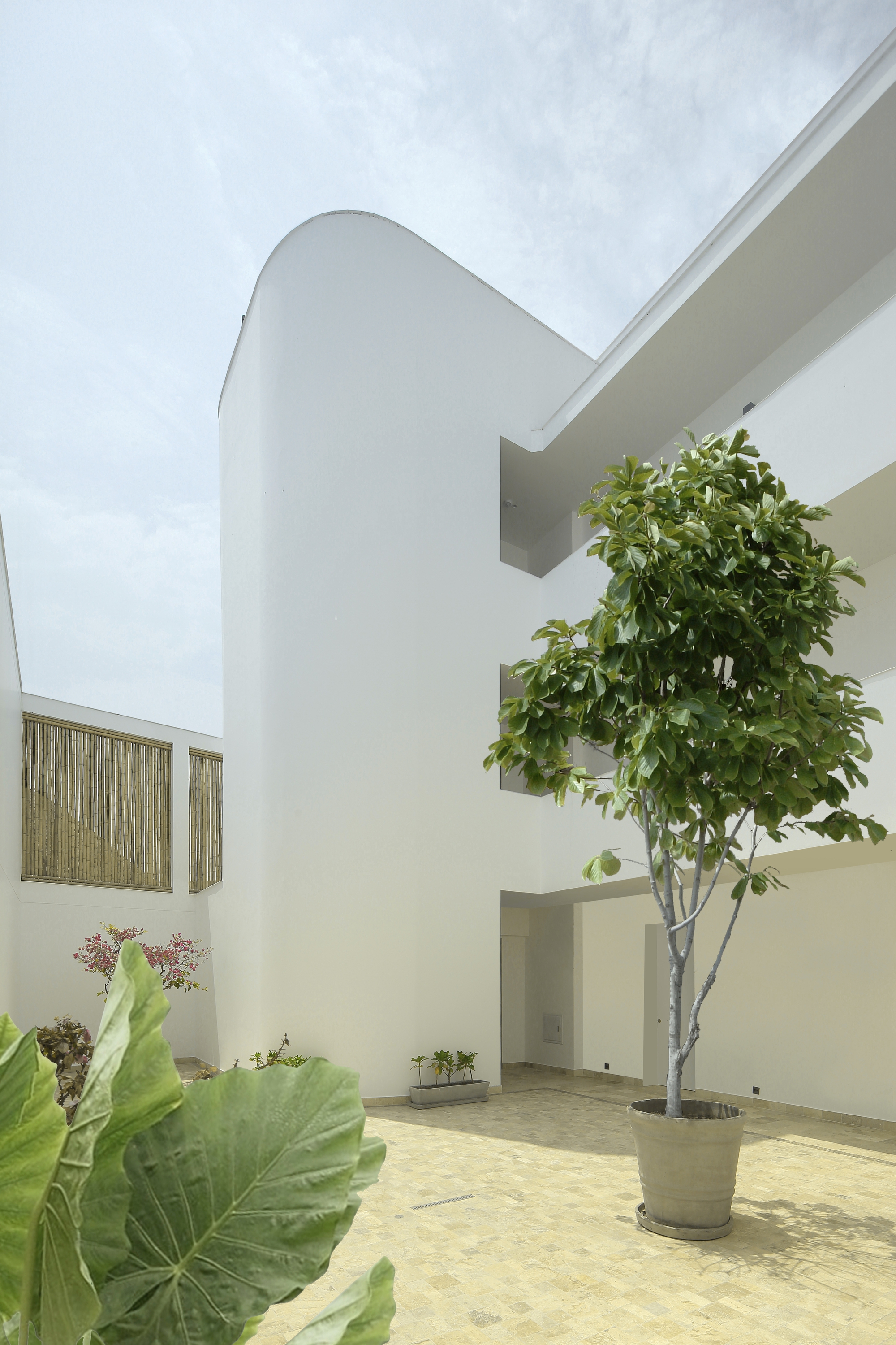 阿贝哈大厦丨秘鲁利马丨Martin Dulanto-17