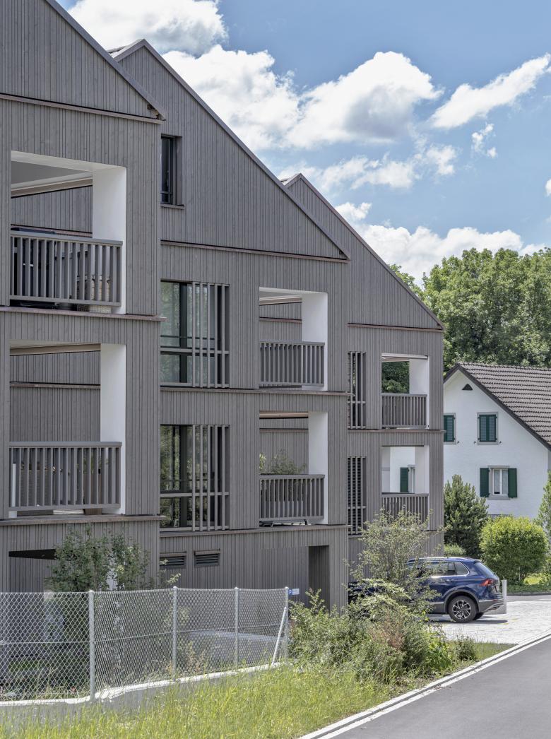 盖伦巴赫的住宅开发项目丨瑞士丨lilin architekten sia gmbh-4