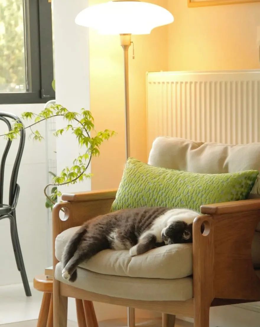 春天里的家,野性而舒适丨创邸科技整装-34