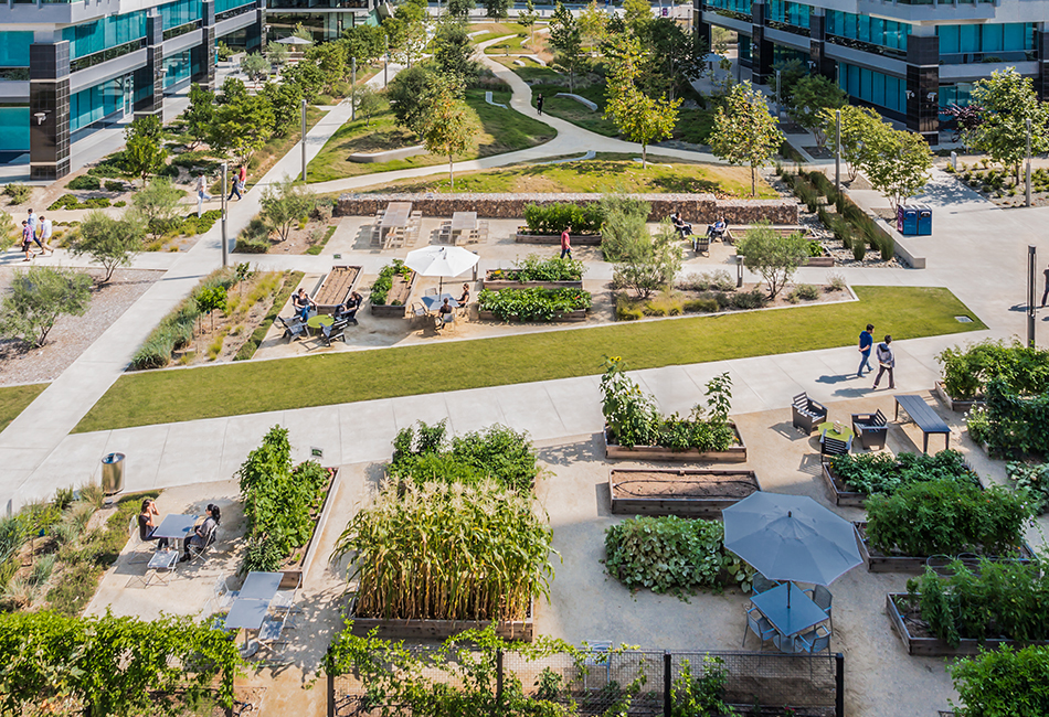 太平洋中心校园（Qualcomm Pacific Center Campus）-8