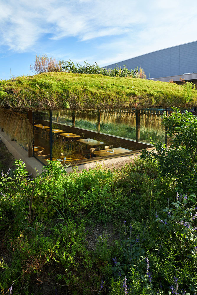 Laboratory Under The Crop Field-6