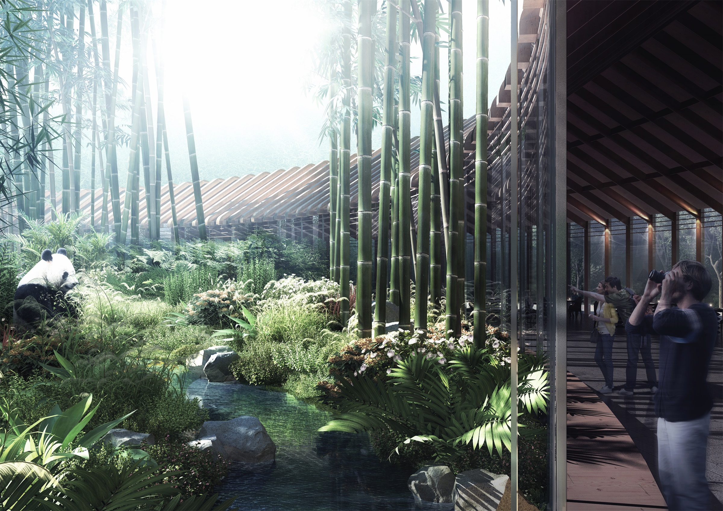 《熊猫之都》成都规划,打造沉浸式大熊猫保育体验-2