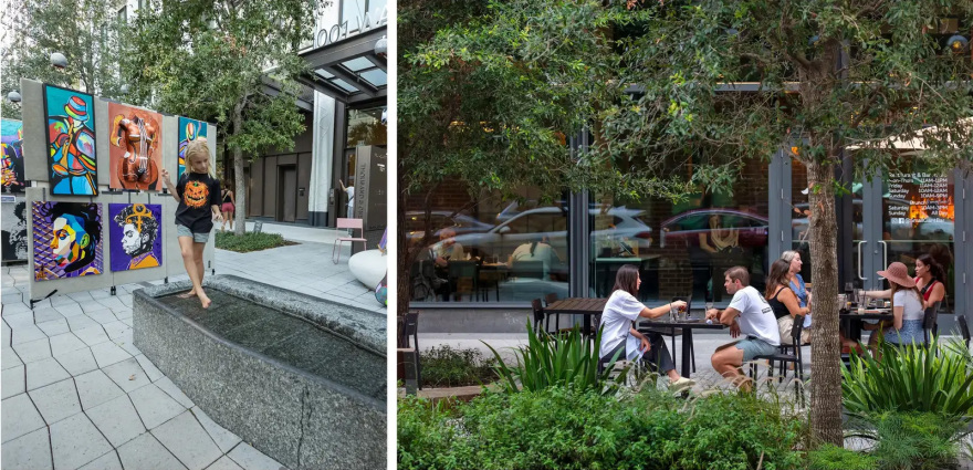 坦帕水街的连绵树冠丨美国丨Reed Hilderbrand-33