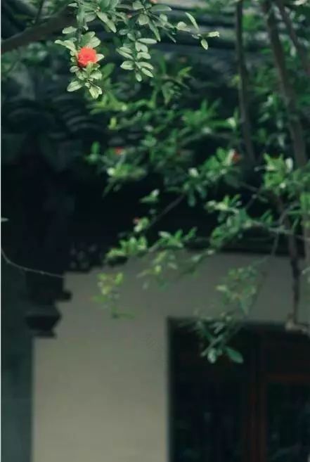 天时佑装饰设计院-61