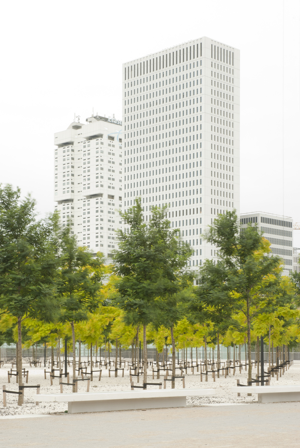 鹿特丹博物馆公园 · 现代景观艺术之作-6