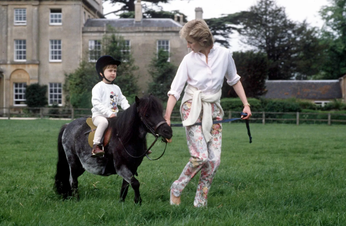 戴安娜王妃的居所丨英国-83