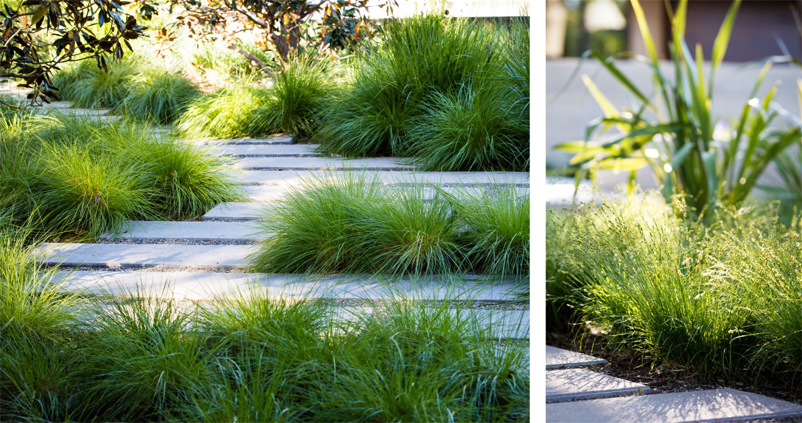 自然生长 · 私宅景观丨美国加利福尼亚-116