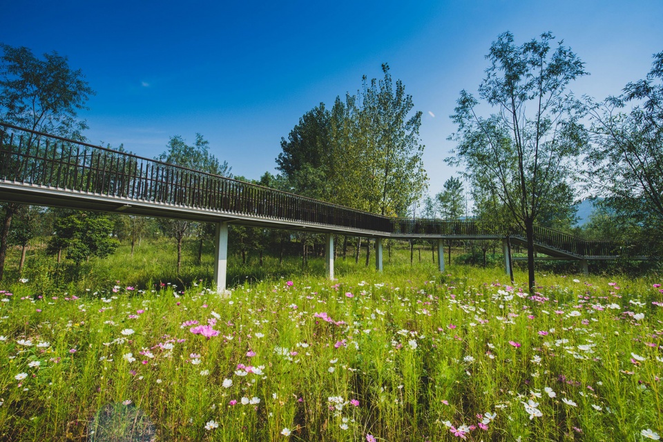 宜昌黄柏河湿地公园丨中国宜昌丨杭州园林设计院股份有限公司-108