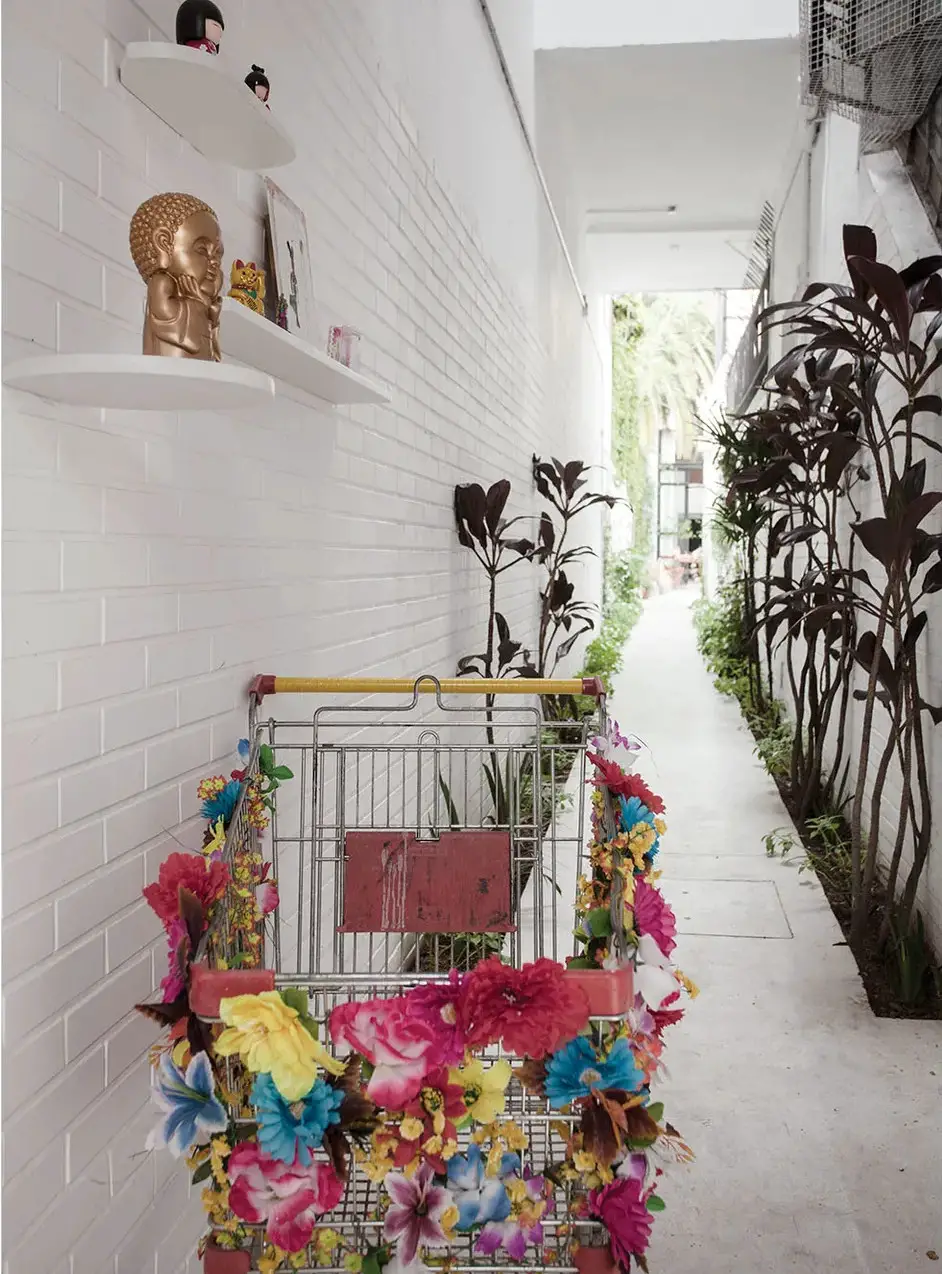 阿根廷艺术家 Diana Schufera 的明亮设计之家-15