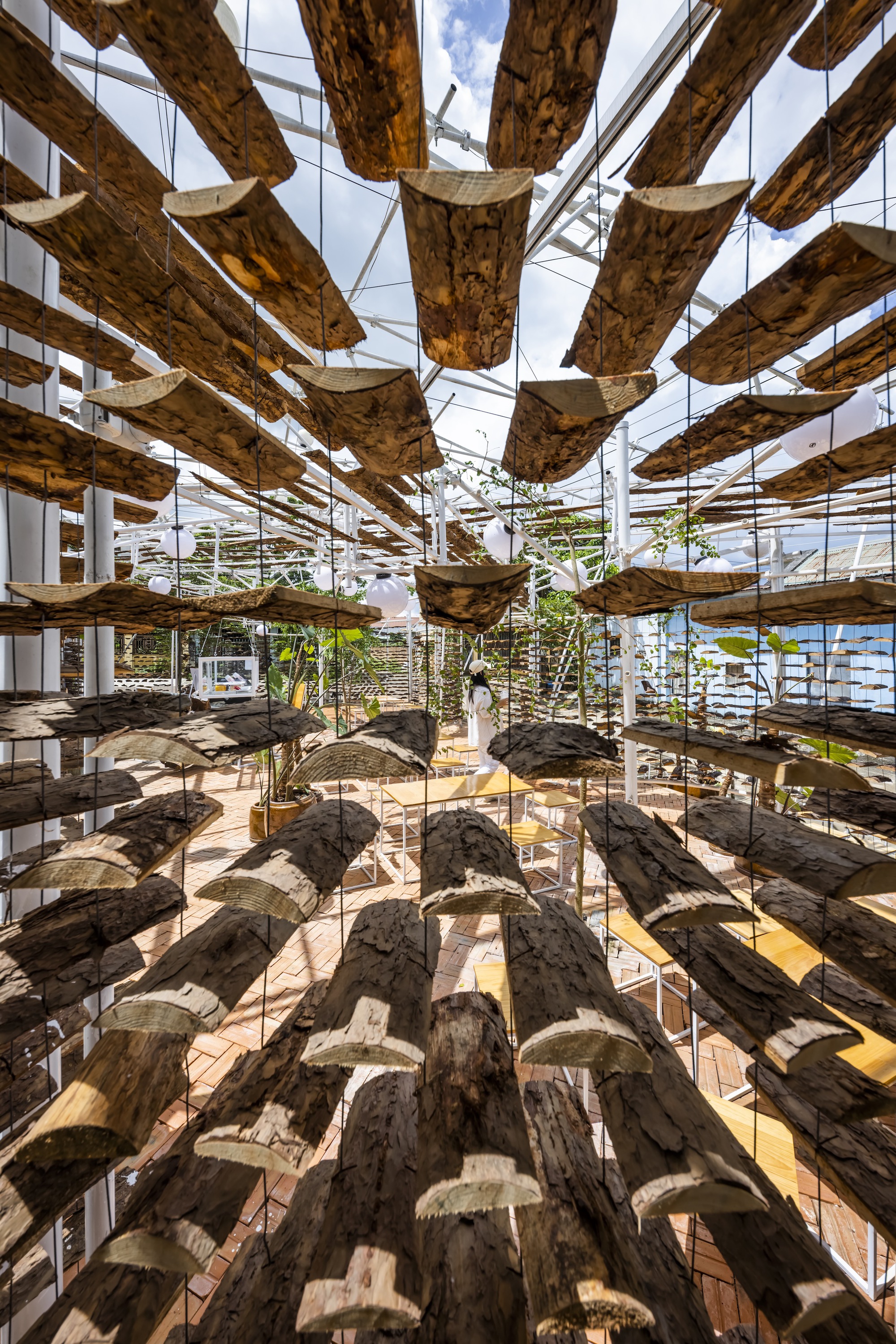 采茶，开花丨越南-25