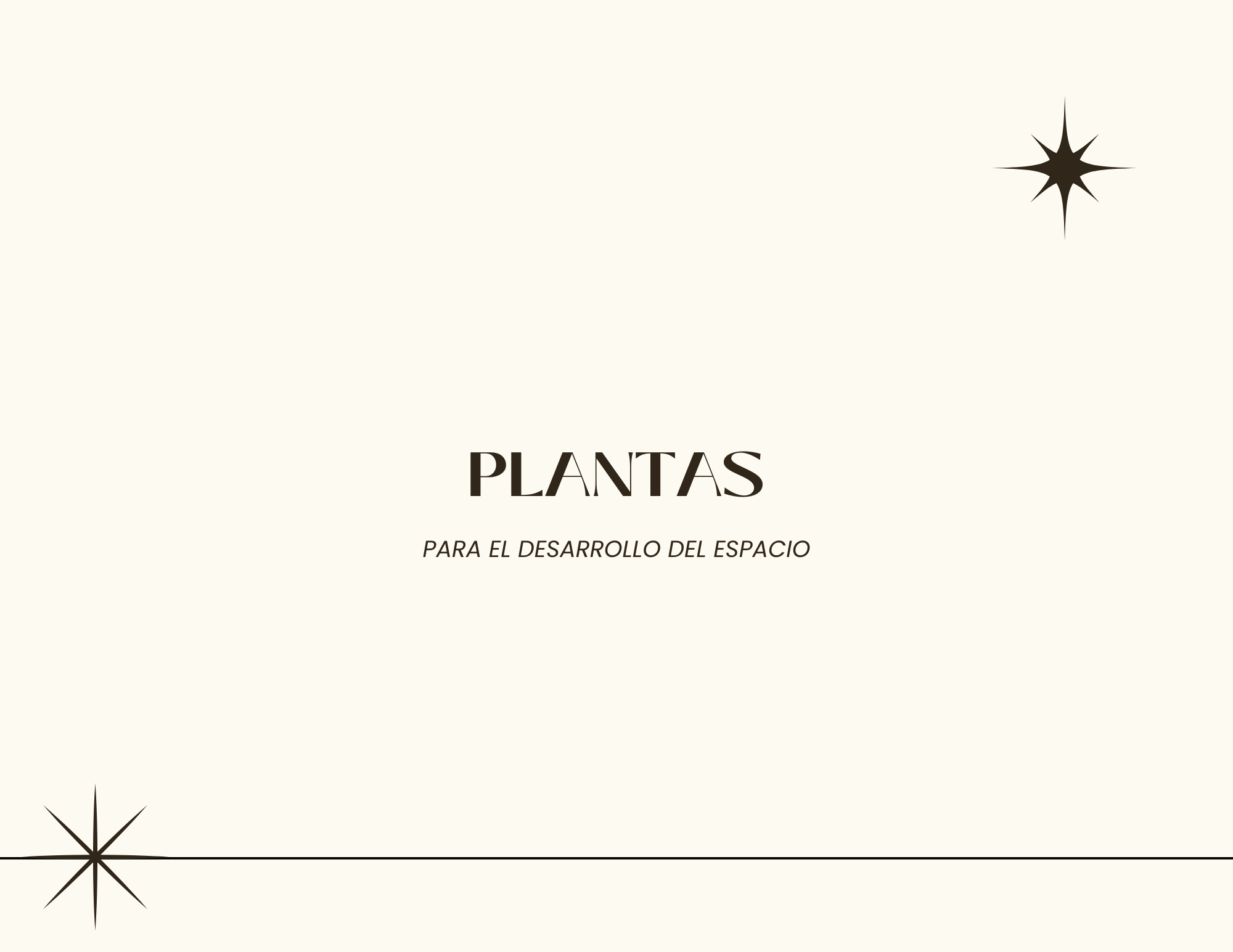 Serenidad en el Caos - Proyecto Paisajístico Interior-4