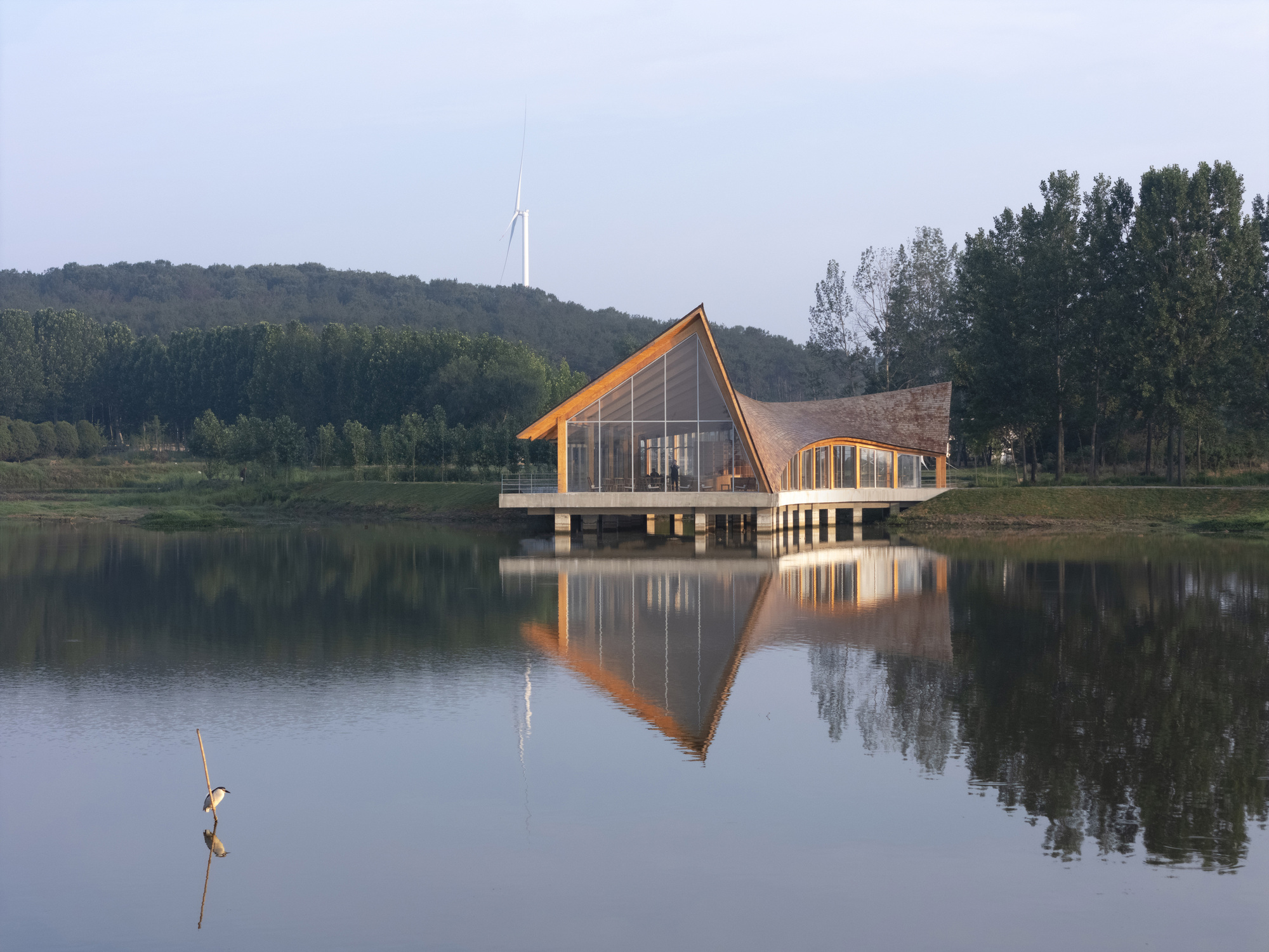 丨中国信阳丨Primary Architects-18