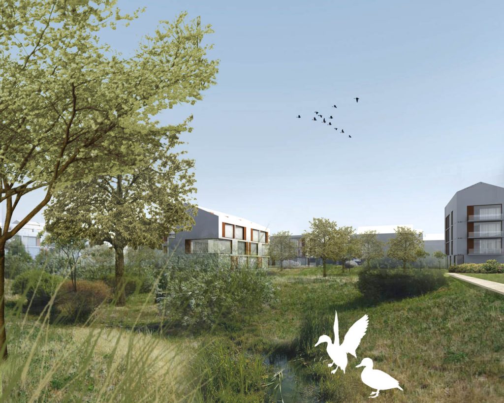 丨eins:eins architekten-6