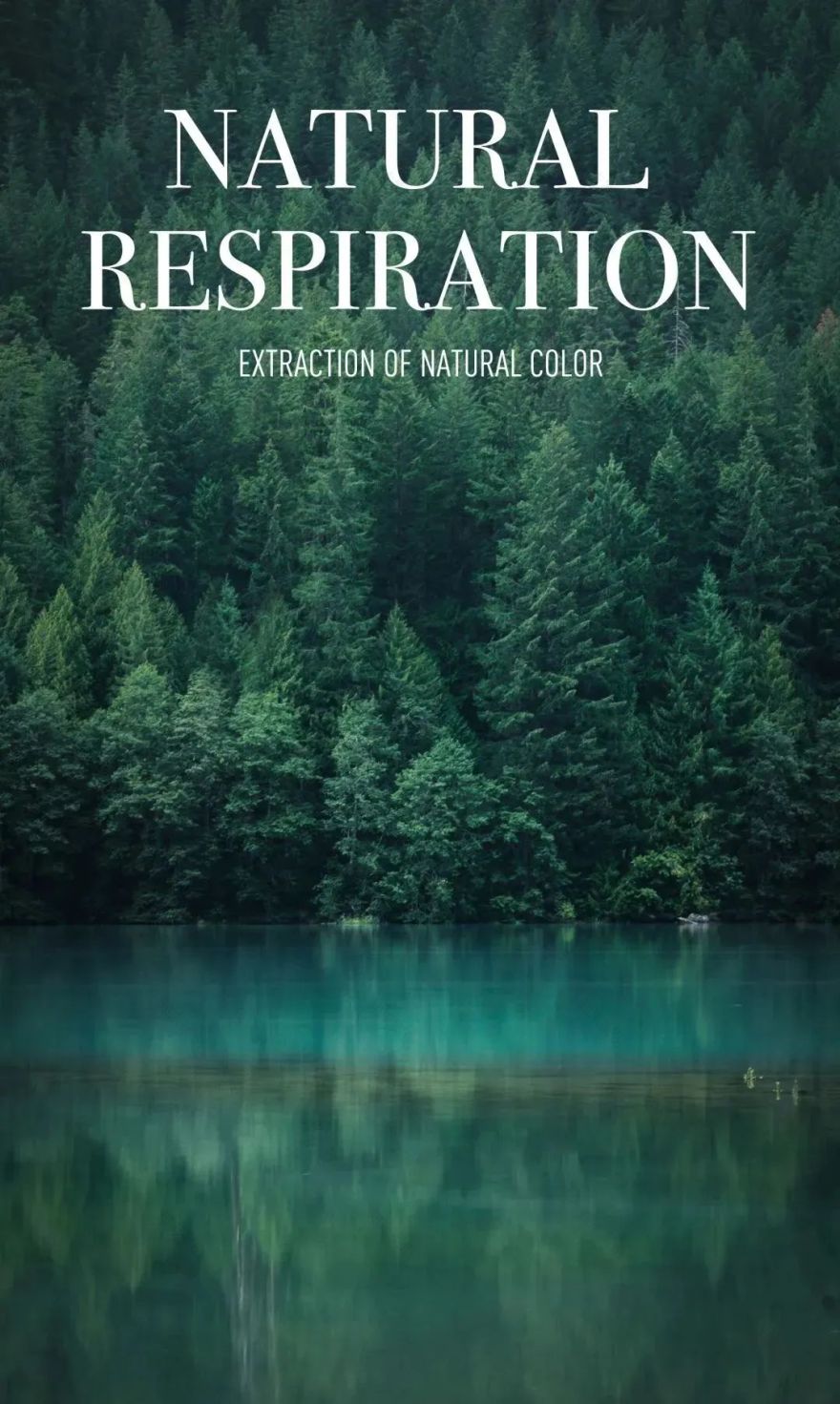 深圳创智公馆丨中国深圳-31