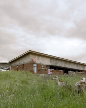 Kao La Amani | Avesh Gaur