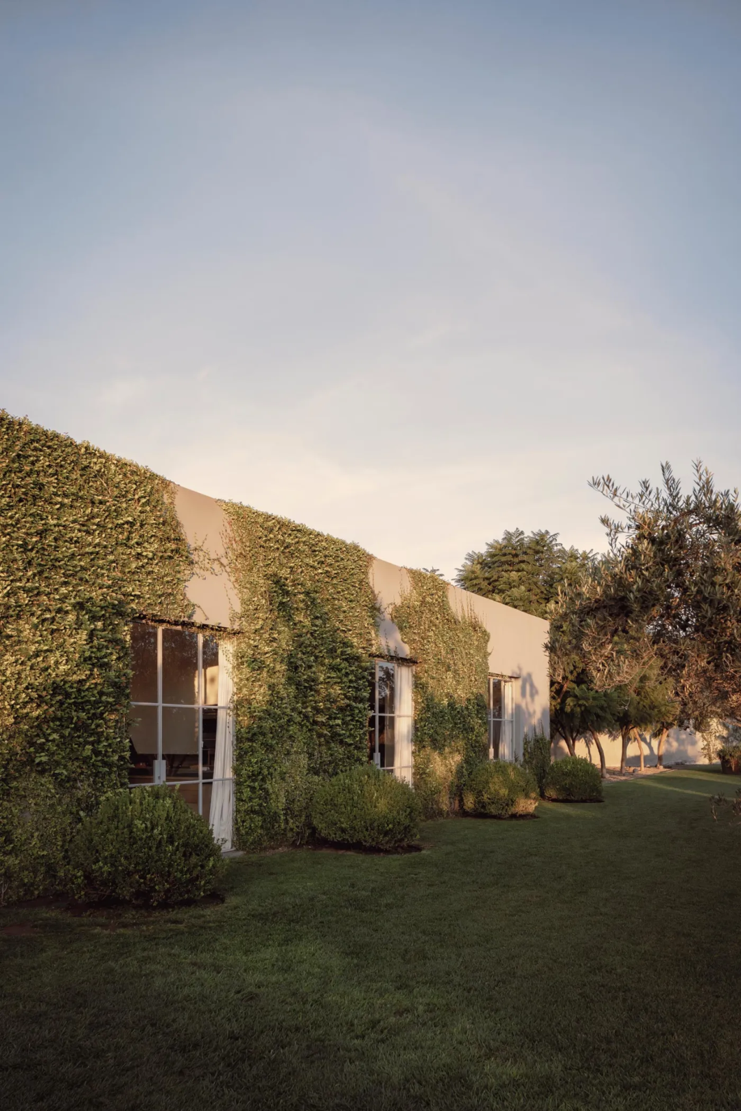 西恩古埃塔之家丨墨西哥丨Max von Werz,Ted Wolter-12